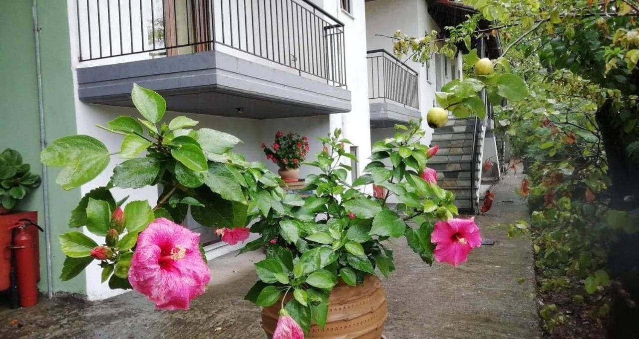 칼람파카 Meteora Garden B&B 외부 사진